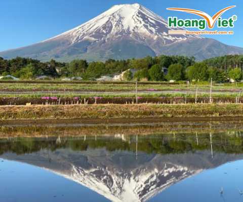 KHÁM PHÁ NHẬT BẢN MÙA HÈ:  HÀ NỘI - OSAKA – KOBE – KYOTO – NAGOYA – NÚI PHÚ SĨ – TOKYO BAYB VIETNAM AIRLINES