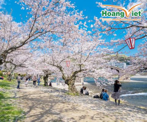 KHÁM PHÁ NHẬT BẢN MÙA HOA ANH ĐÀO 2026 HÀ NỘI – NAGOYA – NARA – OSAKA – KYOTO – NÚI PHÚ SĨ – TOKYO – NGẮM HOA ANH ĐÀO – HÀ NỘI BAY VIETNAM AIRLINES (VỀ CHIỀU)