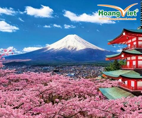 KHÁM PHÁ NHẬT BẢN MÙA HOA ANH ĐÀO HÀ NỘI – OSAKA – KOBE – KYOTO – NÚI PHÚ SĨ – TOKYO – NGẮM HOA ANH ĐÀO – HÀ NỘI BAY VIETNAM AIRLINES