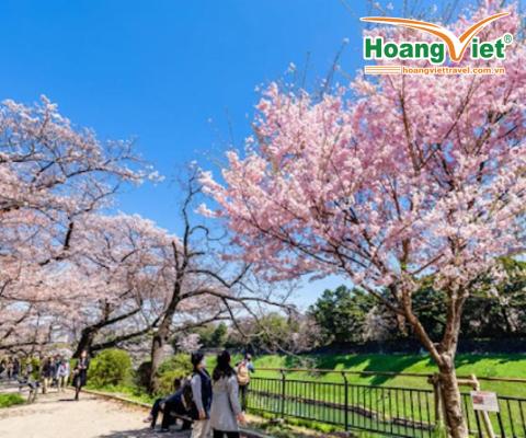 KHÁM PHÁ NHẬT BẢN MÙA HOA ANH ĐÀO OSAKA –KOBE– KYOTO-NAGOYA – NÚI PHÚ SĨ – TOKYO BAY VIETJET AIR