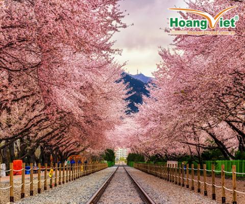 KHÁM PHÁ XỨ SỞ KIM CHI: HÀ NỘI – SEOUL  - EVERLAND – NAMI – HÀ NỘI 5N4Đ BAY VN