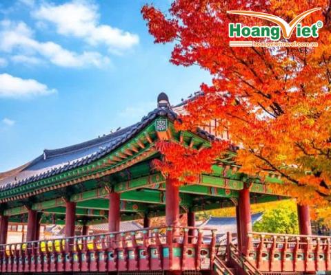 KHÁM PHÁ XỨ SỞ KIM CHI HÀN QUỐC  HÀ NỘI - SEOUL-NAMI- EVERLAND- THƯ VIỆN SÁCH BAY JEJU AIR 