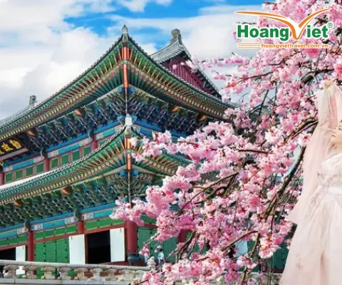 KHÁM PHÁ XỨ SỞ KIM CHI HÀN QUỐC MÙA HOA ANH ĐÀO: HÀ NỘI – SEOUL – NAMI – EVERLAND – CÔNG VIÊN YEOUIDO – RỪNG SEOUL- THƯ VIỆN SÁCH BAY VIETNAM AIRLIINES (BAY TRƯA - TỐI) 