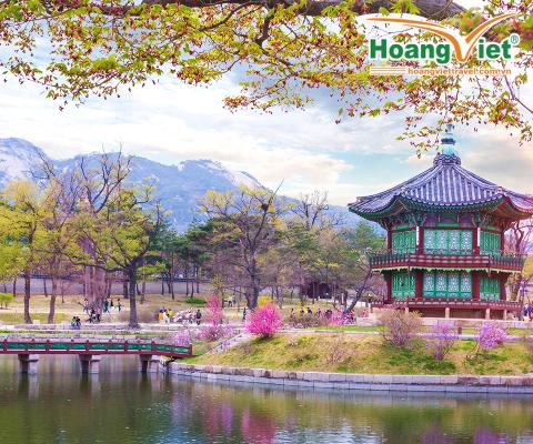 KHÁM PHÁ XỨ SỞ KIM CHI HÀN QUỐC MÙA HOA ANH ĐÀO HÀ NỘI - SEOUL-NAMI- EVERLAND –CÔNG VIÊN YEOUIDO- RỪNG SEOUL BAY VIETNAM AIRLINES