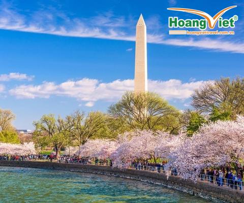 LIÊN TUYẾN ĐÔNG TÂY HOA KỲ MÙA HOA ANH ĐÀO 2026 BAY CI/BR 5 SAO