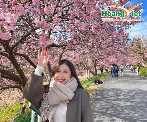 RỰC RỠ SẮC XUÂN  VIỆT NAM - SAKURA - NHẬT BẢN - VIỆT NAM