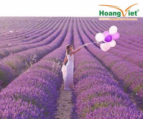 SẮC TÍM LAVENDER & KHÁM PHÁ  ĐIỂM CỰC TÂY CỦA CHÂU ÂU  HÀ NỘI - BỒ ĐÀO NHA - TÂY BAN NHA CÔNG QUỐC MONACO - MIỀN NAM NƯỚC PHÁP BAY QATAR AIRWAYS 5 SAO 
