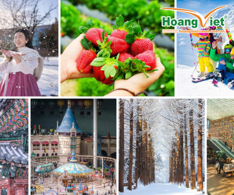SEOUL-NAMI- LOTTE WORLD-TRƯỢT TUYẾT – HÁI DÂU- THƯ VIỆN SÁCH BAY VIETNAM AIRLINES (TRƯA - TỐI)