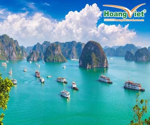 Thăm quan Vịnh Hạ Long HÀ NỘI - VỊNH HẠ LONG - SỬNG SỐT - TITOP