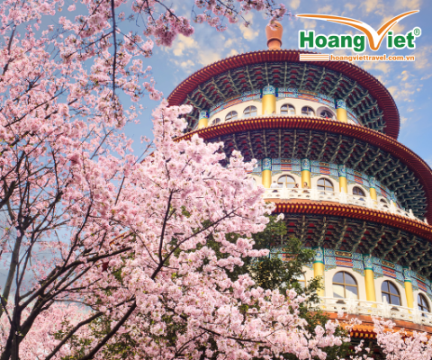 TOUR ĐÀI LOAN NGẮM HOA ANH ĐÀO: ĐÀI BẮC – ĐÀI TRUNG – CAO HÙNG 5N4Đ BAY VNA