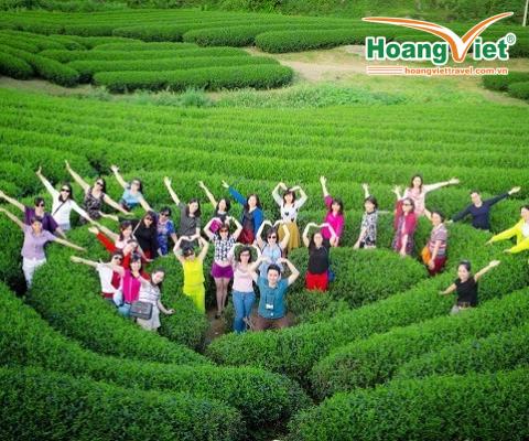 TOUR DU LỊCH 2N1Đ: HÀ NỘI - MỘC CHÂU - MAI CHÂU – HÀ NỘI