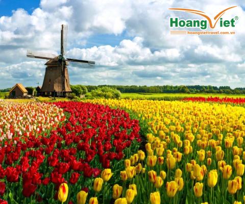 TOUR DU LỊCH CHÂU ÂU 2018: PHÁP – BỈ – HÀ  LAN – LỄ HỘI HOA TUYLIP LỚN NHẤT THẾ GIỚI BAY TURKISH AIRLINES