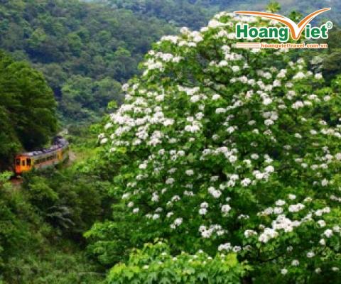 TOUR DU LỊCH ĐÀI LOAN MỪNG LỄ GIẢI PHÓNG: Hà Nội – Đài Trung – Cao Hùng – Nam Đầu