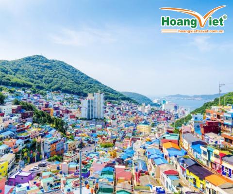 TOUR DU LỊCH ĐÓN TẾT CANH TÍ: DAEGU - BUSAN 5N4Đ BAY TW