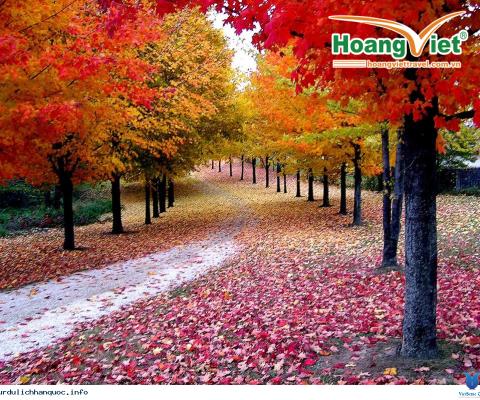 TOUR DU LỊCH HÀN QUỐC: SEOUL – ĐẢO JEJU - ĐẢO NAMI – CÔNG VIÊN EVERLAND 6 NGÀY 5 ĐÊM BAY HÀNG KHÔNG 5 SAO ASIANA AIRLINES