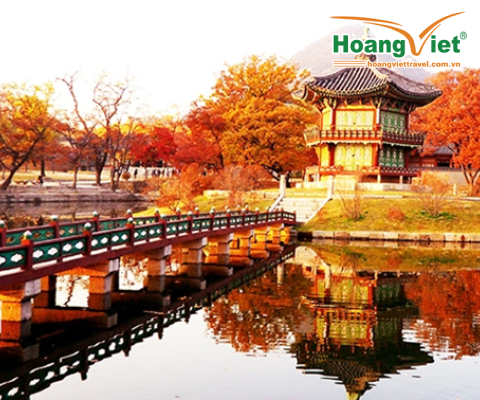 TOUR DU LỊCH HÀN QUỐC: SEOUL – ĐẢO NAMI – CÔNG VIÊN EVERLAND 5 NGÀY BAY JEJU AIR