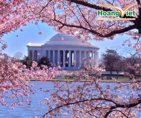 TOUR DU LỊCH MỸ: TOÀN CẢNH HOA KÌ - LỄ HỘI HOA ANH ĐÀO - 10N9D - HK AIR CHINA 