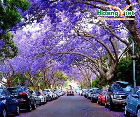 TOUR DU LỊCH NAM PHI: KHÁM PHÁ VÙNG ĐẤT KIM CƯƠNG 2018