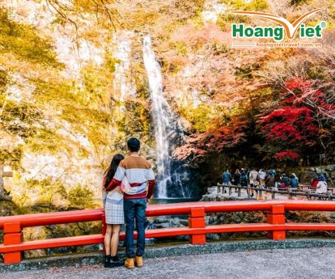Tour Du Lịch Nhật Bản Mùa Thu 6 Ngày 5 Đêm: Cung Đường Vàng Rực Rỡ