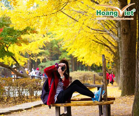 Tour Du Lịch Nhật Bản Mùa Thu Từ Hà Nội: Osaka – Kobe – Kyoto – Núi Phú Sĩ – Tokyo