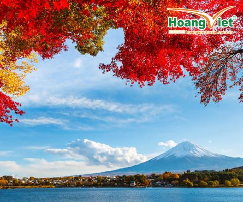 TOUR DU LỊCH: TOKYO – HAKONE – NÚI PHÚ SĨ – VỊNH ODAIBA 5N4Đ BAY ALL NIPPON AIRWAYS