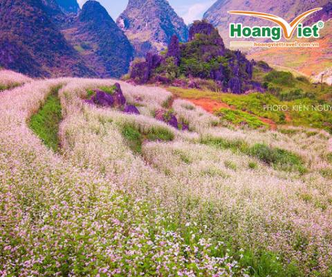 TOUR HÀ GIANG - MIỀN ĐÁ NỞ HOA MÙA TAM GIÁC MẠCH 2022