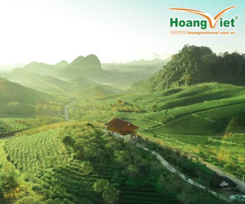 TOUR HÀ NỘI - CAO NGUYÊN MỘC CHÂU 