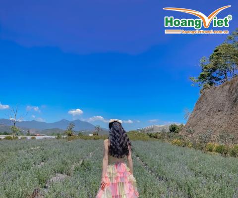 TOUR HÀ NỘI - ĐÀ LẠT -NHA TRANG – HÀ NỘI