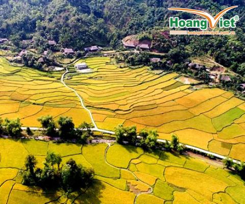  TOUR HÀ NỘI - NGHĨA LỘ - MÙ CANG CHẢI - TÚ LỆ 2021