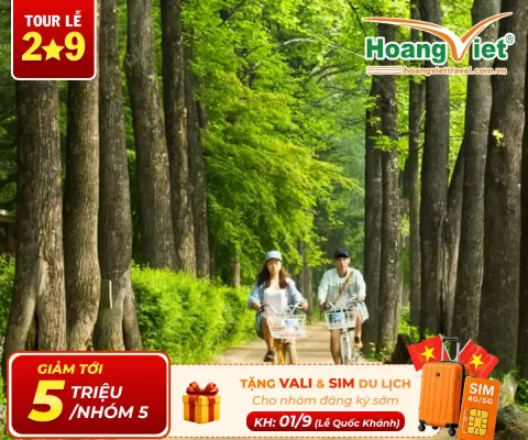 Tour Hàn Quốc 6 Ngày 5 Đêm Từ Hà Nội: Busan – Seoul – Đảo Nami – Incheon – Trải Nghiệm Đi Phà Ngắm Hải Âu Bay Vietjet Air