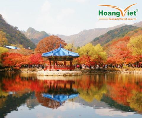 TOUR HÀN QUỐC: HÀ NỘI – SEOUL  -  EVERLAND – NAMI – HÀ NỘI 5N4Đ 