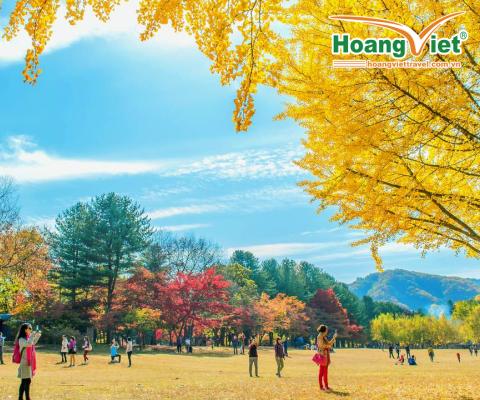 TOUR HÀN QUỐC MÙA LÁ ĐỎ: SEOUL – NAMI – EVERLAND 5N4D BAY VIETJET