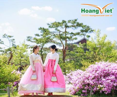 TOUR HÀN QUÔC: SEOUL – ĐẢO NAMI – CÔNG VIÊN EVERLAND 5N4Đ BAY 7C