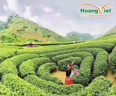 TOUR KHÁM PHÁ CAO NGUYÊN MỘC CHÂU