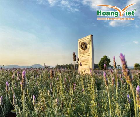 TOUR KHUYẾN MẠI ĐẶC BIỆT HÀ NỘI – ĐÀ LẠT – HÀ NỘI