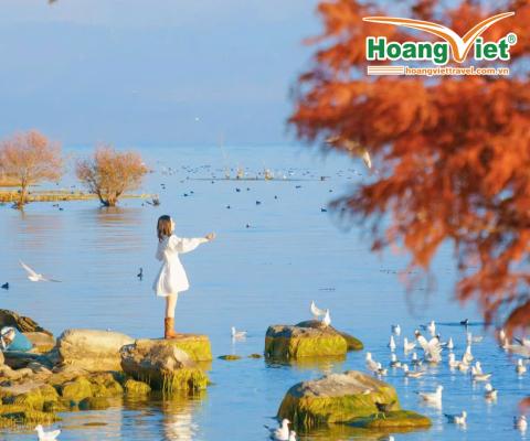 Tour Lệ Giang Đại Lý Shangrila 6 Ngày 5 Đêm Bay Thẳng