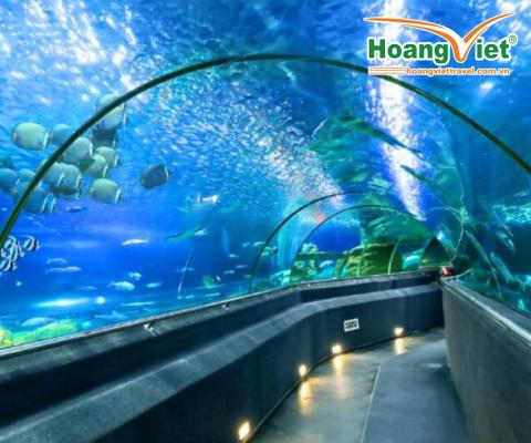 TOUR NHA TRANG ĐÀ LẠT TẾT DƯƠNG LỊCH 2023