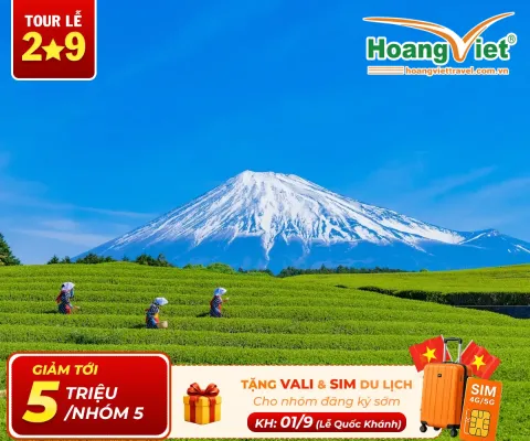Tour Nhật Bản 5 Ngày 4 Đêm Giá Rẻ: Shizuoka – Núi Phú Sĩ – Tokyo Bay Vietjet Air