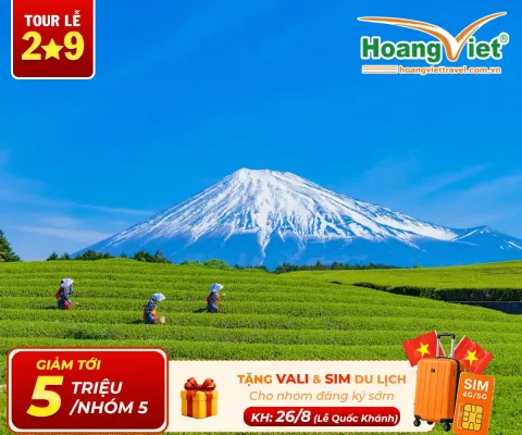 Tour Nhật Bản 5 Ngày 4 Đêm Giá Rẻ: Shizuoka – Núi Phú Sĩ – Tokyo Bay Vietjet Air