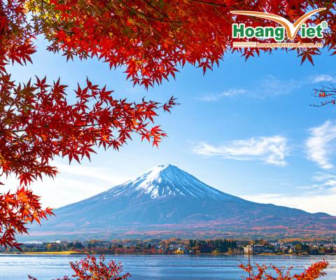 Tour Nhật Bản 6 ngày 5 đêm: Khám Phá Cung Đường Vàng