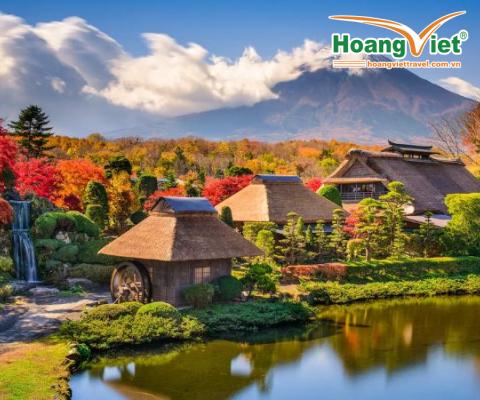 TOUR NHẬT BẢN GIÁ RẺ HÈ 2026: HÀ NỘI - SHIZUOKA - NÚI PHÚ SĨ - TOKYO BAY VIETJET AIR