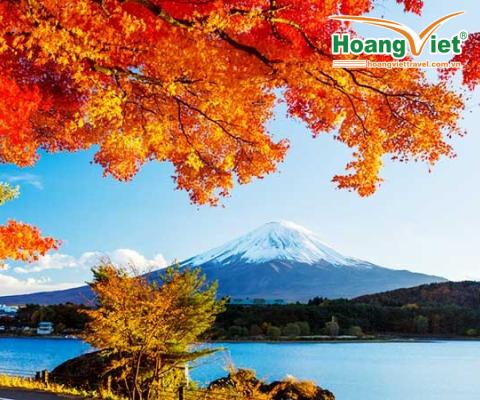 Tour Nhật Bản mùa thu 6N5D: Osaka - Phú Sĩ - Tokyo