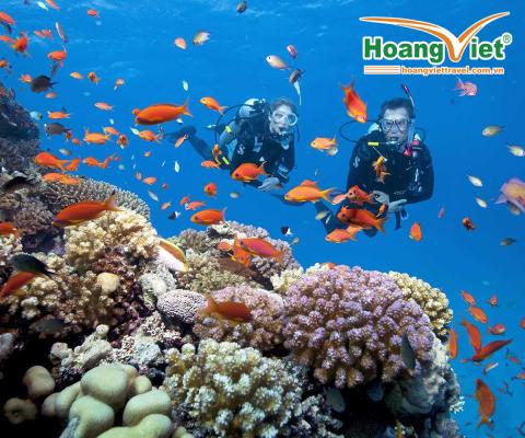 TOUR PHÚ QUỐC CÂU CÁ – LẶN NGẮM SAN HÔ ( BAY VNA )