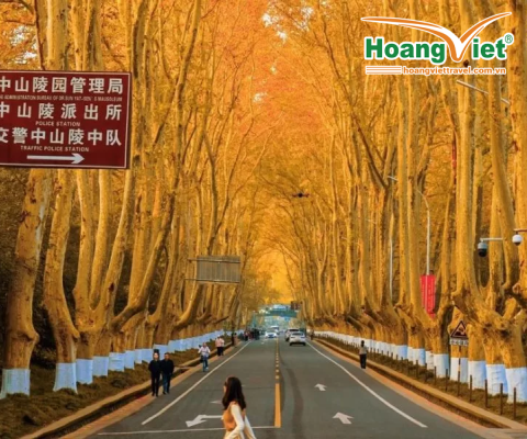Tour Thượng Hải Dương Châu Nam Kinh 6 Ngày 5 Đêm Trọn Gói
