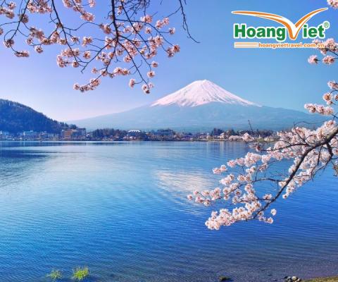 VIỆT NAM – TOKYO - YAMANASHI– PHÚ SĨ –TOKYO - VIỆT NAM