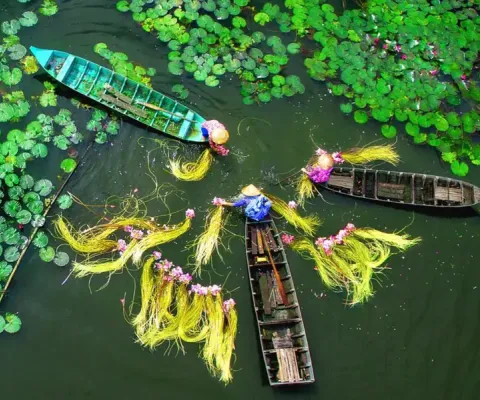 CHƯƠNG TRÌNH HÀ NỘI – CẦN THƠ – SÓC TRĂNG – BẠC LIÊU CÀ MAU – ĐẤT MŨI – TIỀN GIANG – BẾN TRE TÂY NINH – SÀI GÒN – HÀ NỘI BAY VIETNAM AIRLINES (TRƯA - CHIỀU)