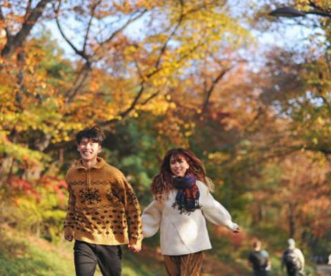 CHƯƠNG TRÌNH MÙA THU HÀN QUỐC HÀ NỘI-SEOUL- NAMI – EVERLAND - THƯ VIỆN SÁCH - HÁI TÁO BAY VIETNAM AIRLINES (BAY TRƯA - TỐI) 