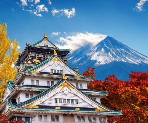 Tour Đi Nhật Bản 6 Ngày 5 Đêm: Nara – Osaka – Kyoto – Phú Sĩ – Tokyo No Shopping