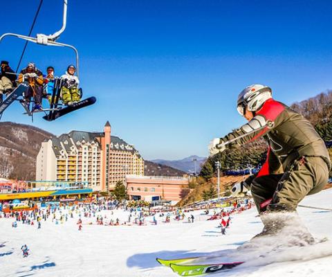 ĐÓN NĂM MỚI 2026 TẠI XỨ SỞ KIM CHI HÀ NỘI - SEOUL- LOTTE WORLD-TRƯỢT TUYẾT ELYSIAN- HÁI DÂU- THƯ VIỆN SÁCH BAY T'WAY( TW)