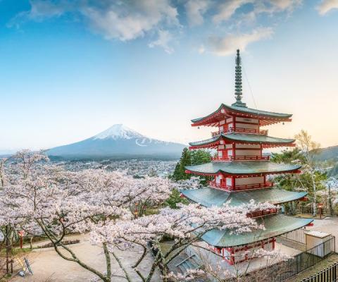   DU LỊCH NHẬT BẢN HOA ANH ĐÀO SỚM 2024: Tokyo – Phú Sĩ – Nagoya – Kyoto – Osaka bay Vietnam Airlines